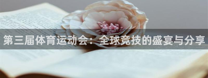 第三届体育运动会：全球竞技的盛宴与分享
