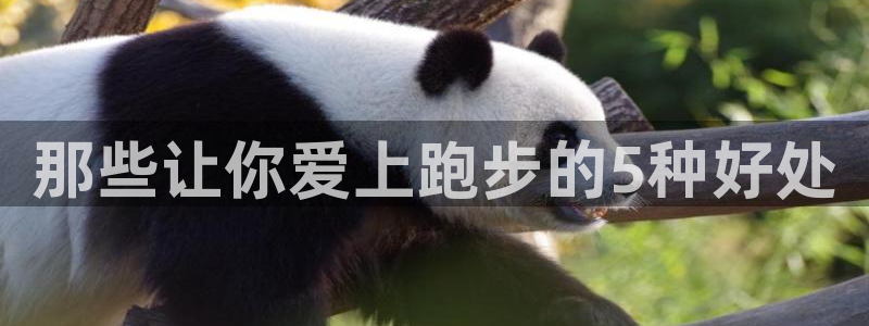那些让你爱上跑步的5种好处