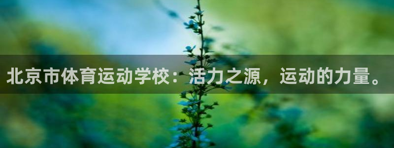 北京市体育运动学校：活力之源，运动的力量。