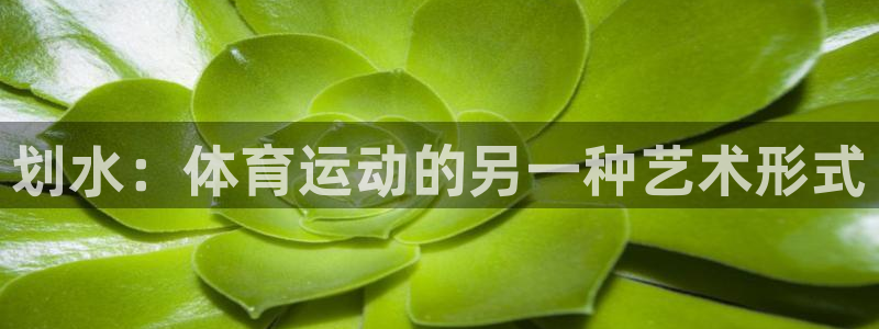 划水：体育运动的另一种艺术形式