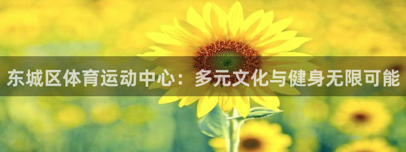 东城区体育运动中心：多元文化与健身无限可能