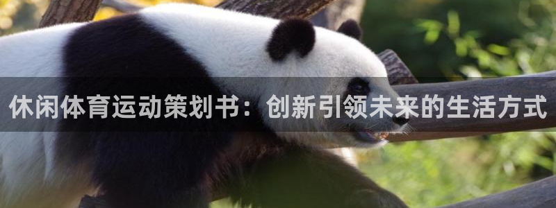 休闲体育运动策划书：创新引领未来的生活方式