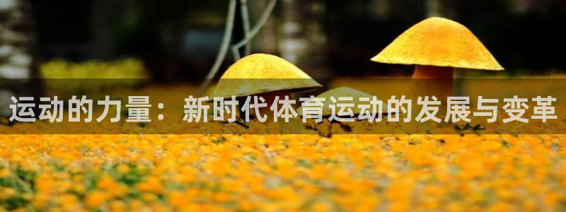 运动的力量：新时代体育运动的发展与变革