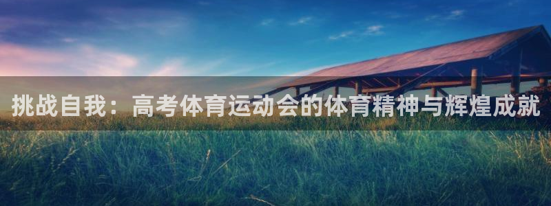 挑战自我：高考体育运动会的体育精神与辉煌成就