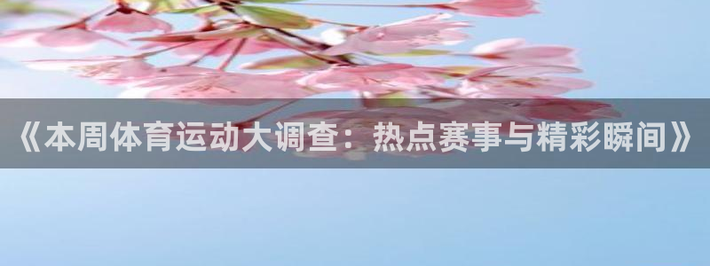《本周体育运动大调查：热点赛事与精彩瞬间》