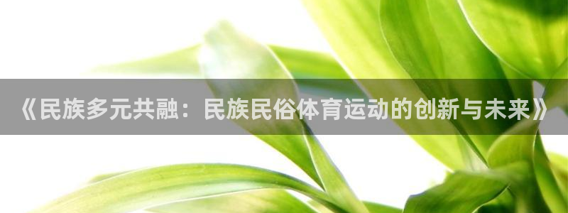 《民族多元共融：民族民俗体育运动的创新与未来》