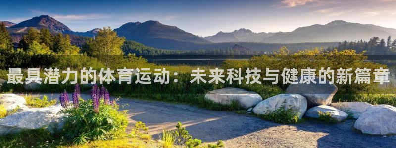 最具潜力的体育运动：未来科技与健康的新篇章