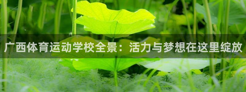 广西体育运动学校全景：活力与梦想在这里绽放
