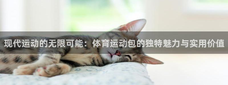 现代运动的无限可能：体育运动包的独特魅力与实用价值